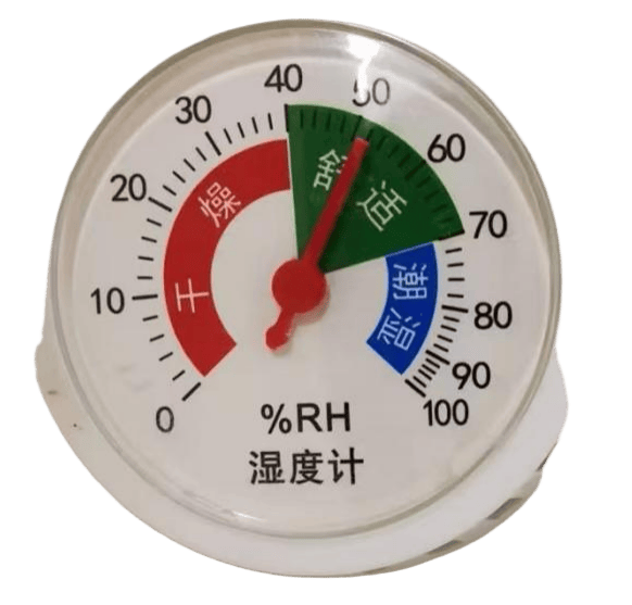 】 山东半岛滨海度假竖起了大拇指AYX爱游戏【旅游度假热点观察(图4)